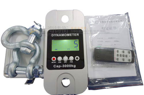 200噸大量程推拉力計上海廠家
