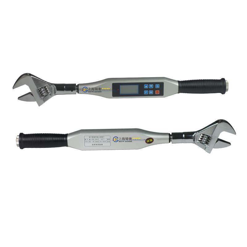 活動頭數(shù)顯扳手 100N.m可換頭